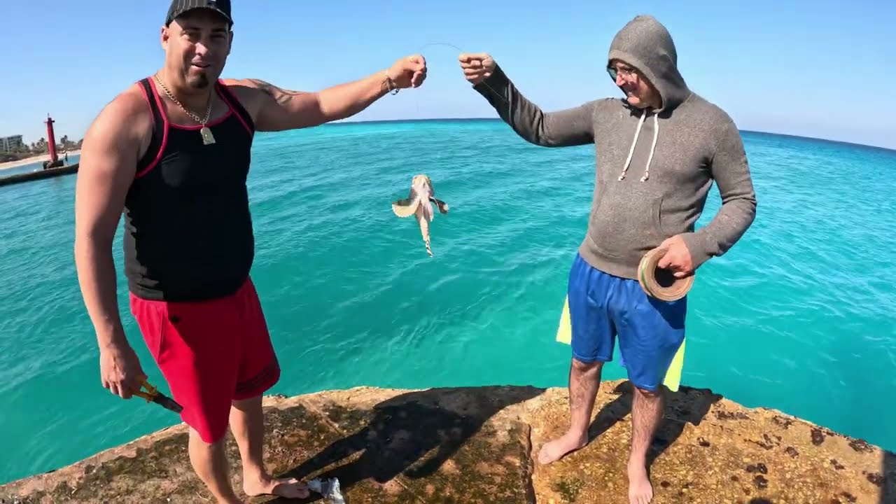 Pescando en cuba ciudad de  Matanzas CAPTURA DE SERRUCHO en muelle de la amur #fishing #videoviral