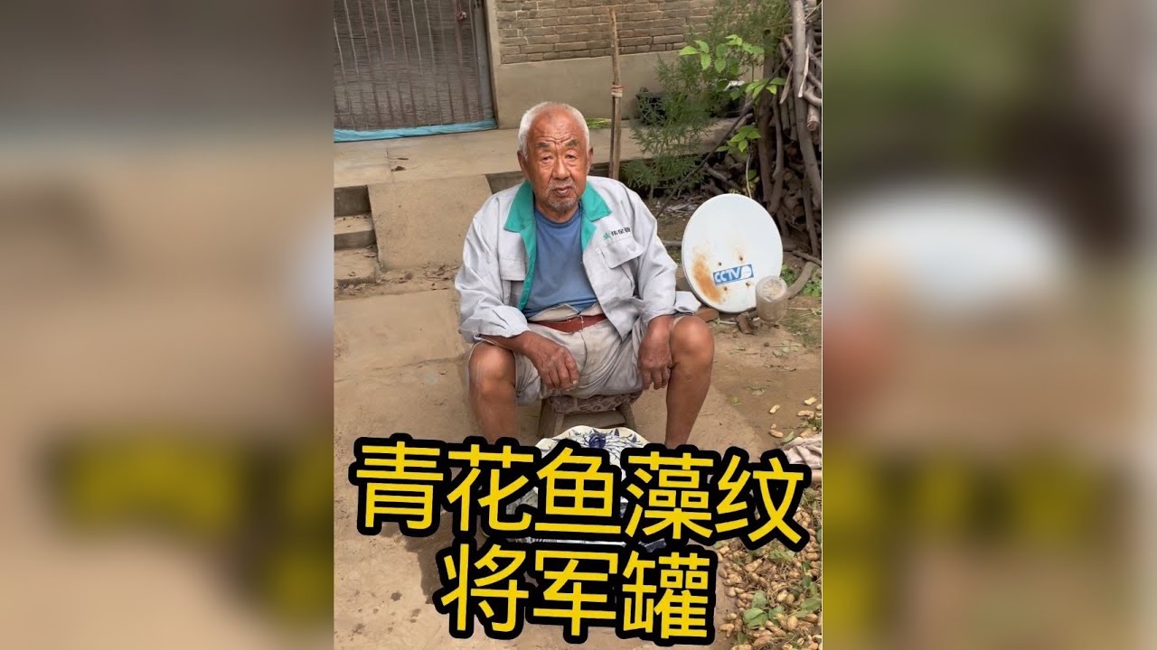 寻宝大爷家青花将军罐