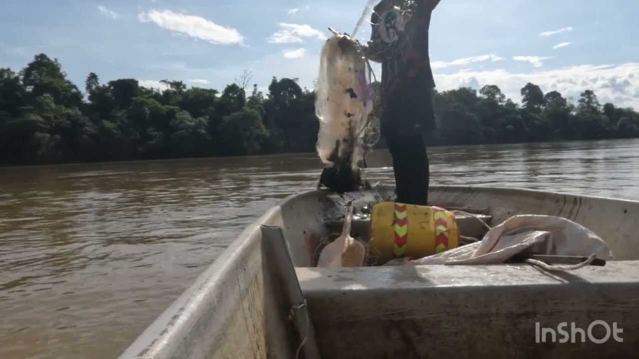 Rezeki menjala lepas air banjir,rezeki ikan kayagan 