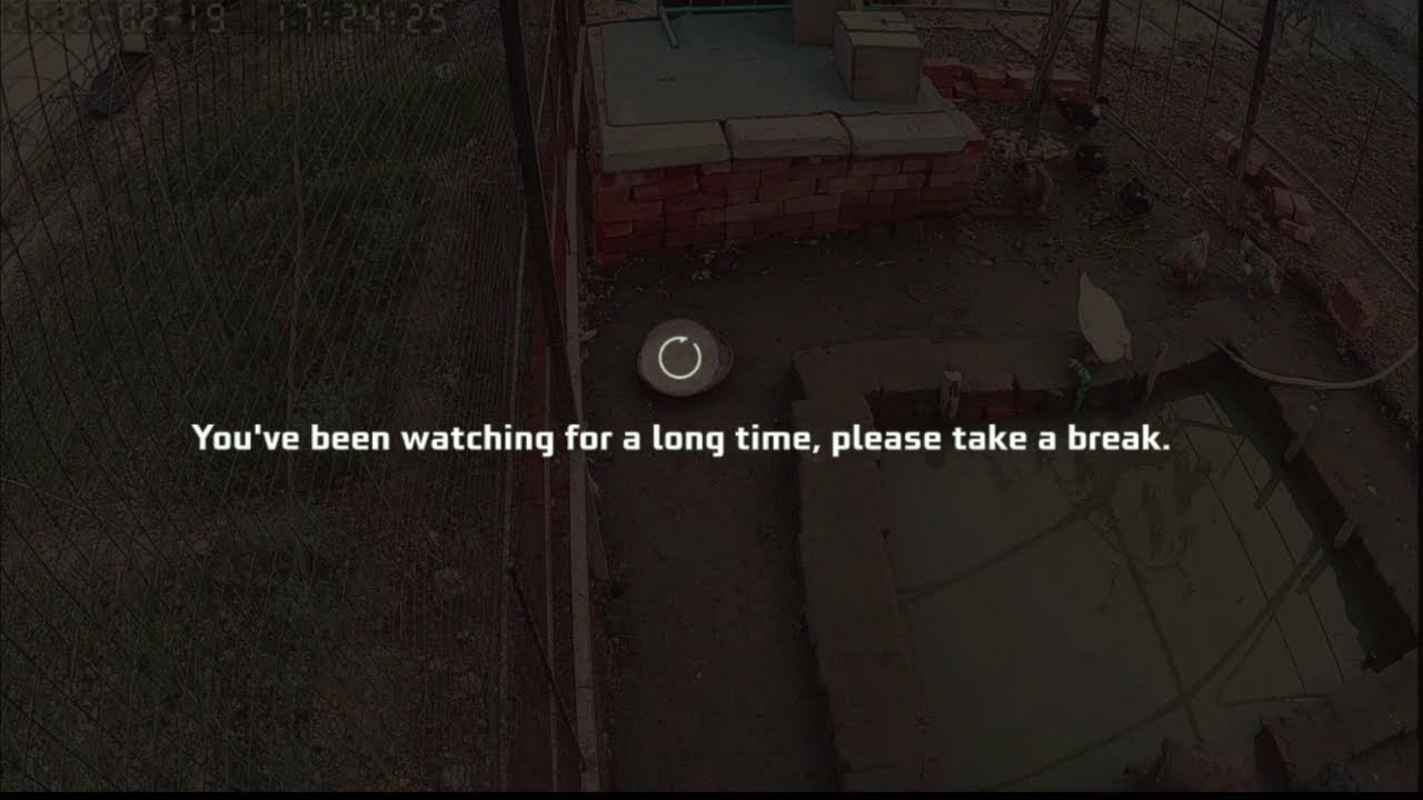 Duck Farm Live 24/7