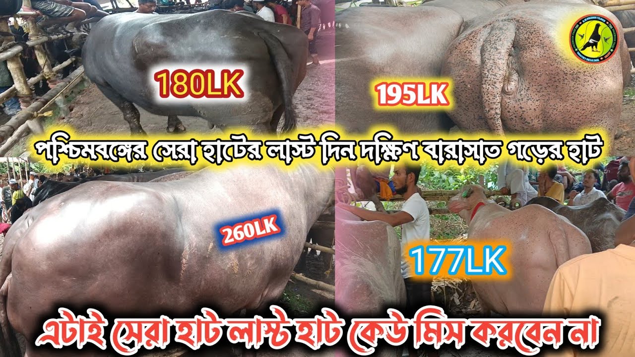 পশ্চিমবঙ্গের সেরা হাটের লাস্ট দিন দক্ষিণ বারাসাত গড়ের হাট. এটাই সেরা হাট লাস্ট হাট কেউ মিস করবেন না