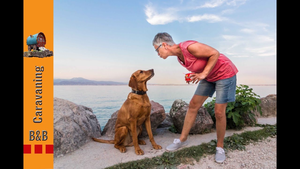 Campingurlaub in Italien/ Gardasee/Camping Pacengo/ Gardone Riviera/ Sirmione