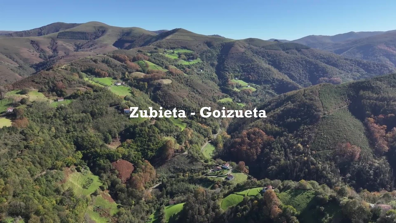 11 Leiho | Zubieta-Goizueta