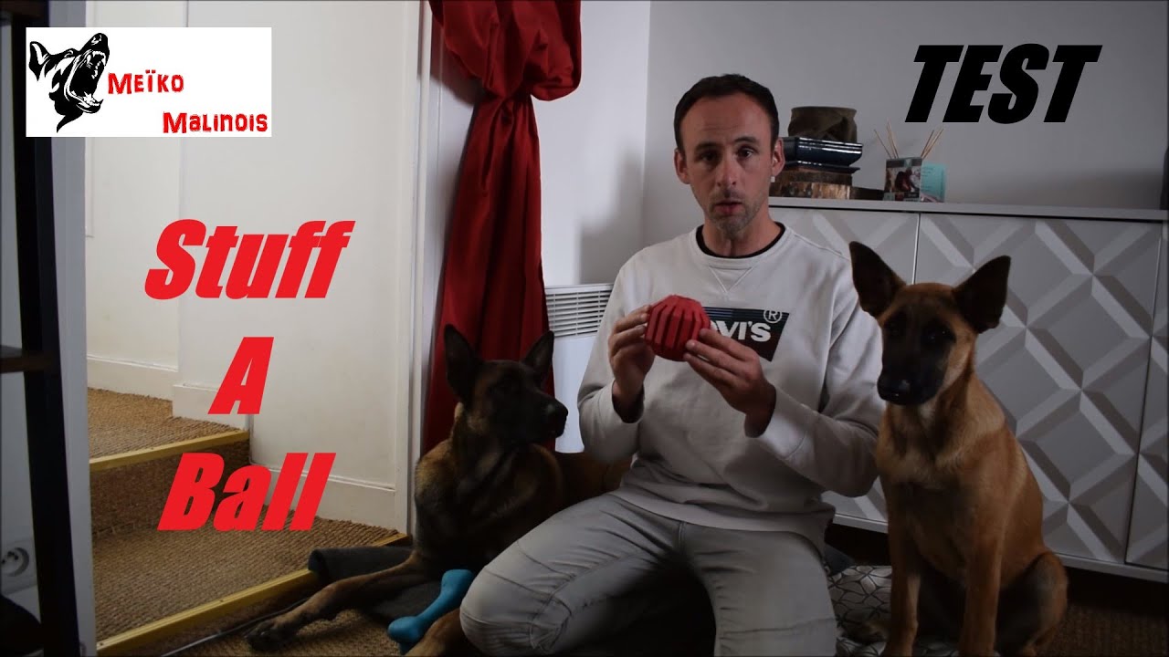 Test de jouet - Le Stuff A Ball Kong