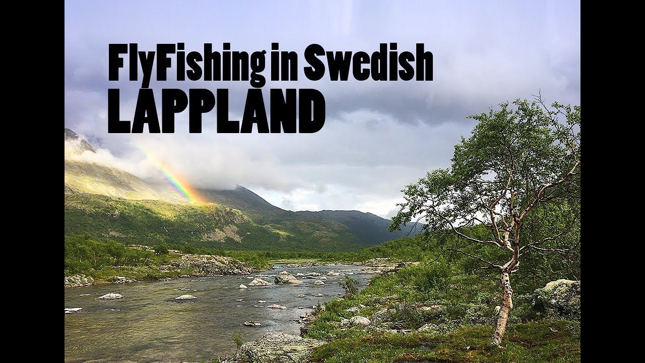 Fly fishing is Swedish Lapland | A OneFly petite merde Film