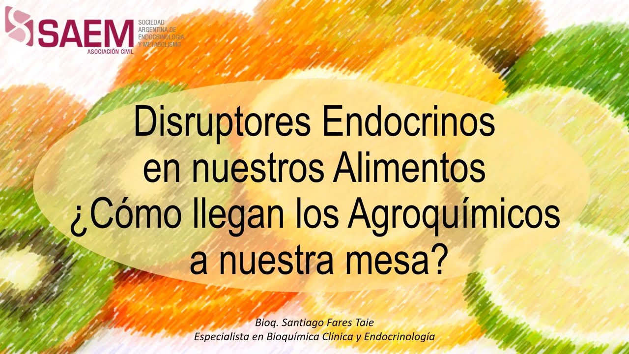 Disruptores endocrinos, de la naturaleza a nuestros hogares