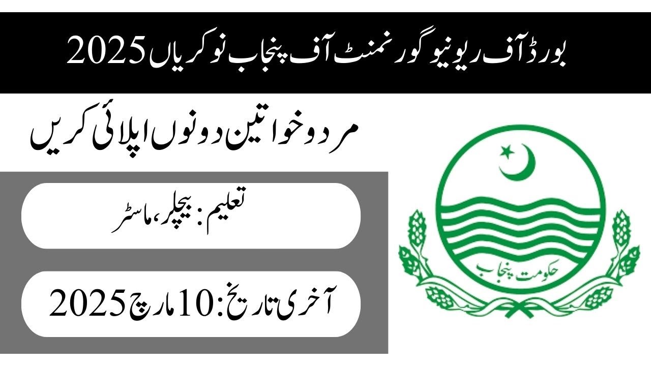Punjab Urban Land Record Systems Enhancement PULSE Jobs 2025