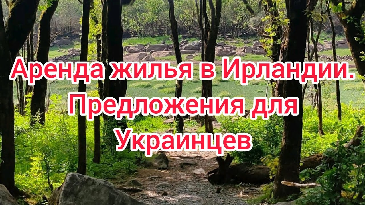 Аренда жилья в Ирландии,для украинцев