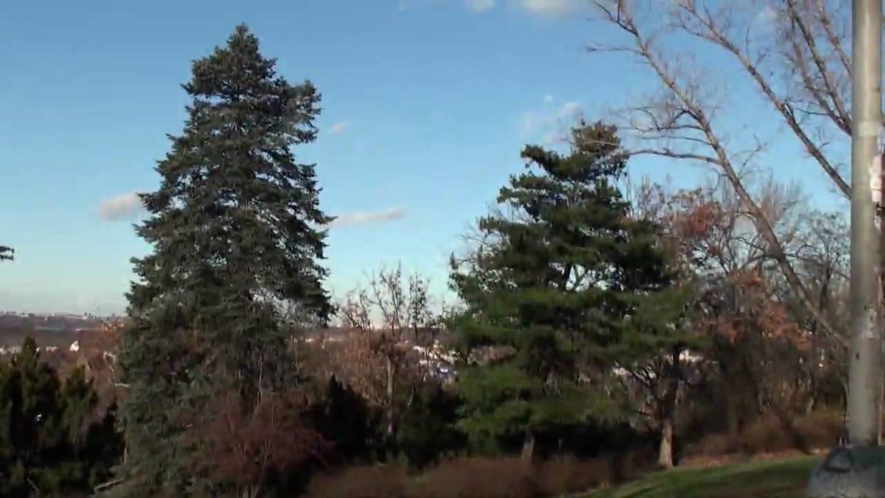Sony HDR-XR520 - test video
