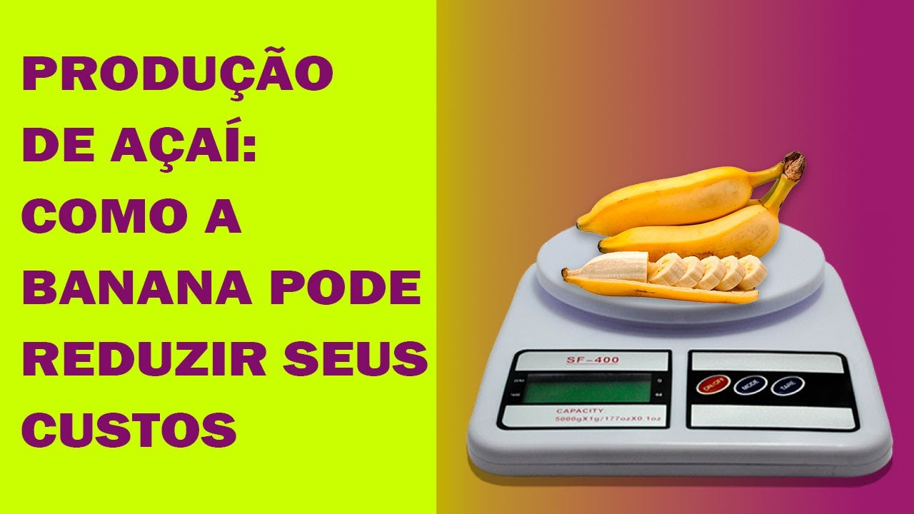 PRODUÇÃO DE AÇAÍ: COMO A BANANA PODE REDUZIR SEUS CUSTOS