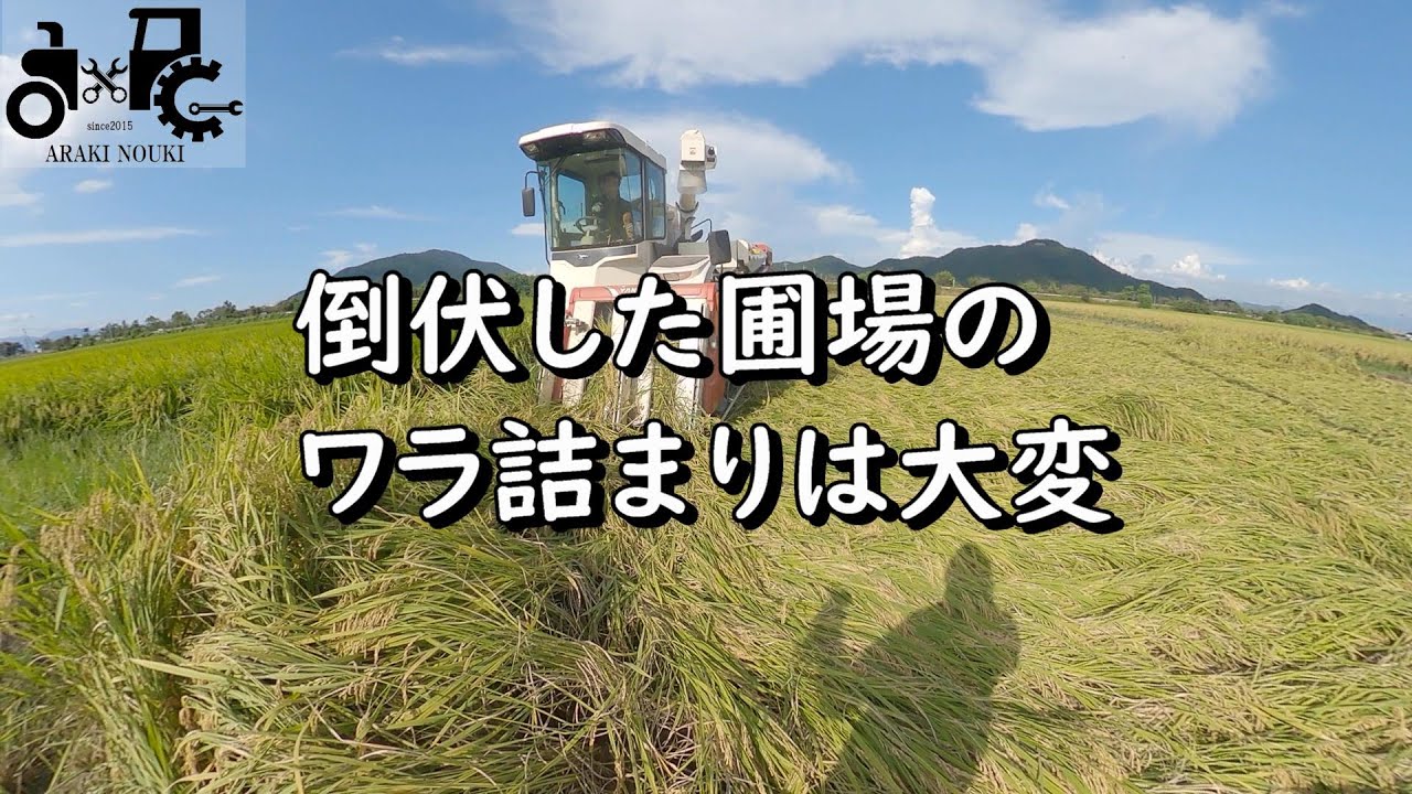 コンバインの刈り取り部にワラが詰まって大惨事　倒伏の稲刈りは注意してください！