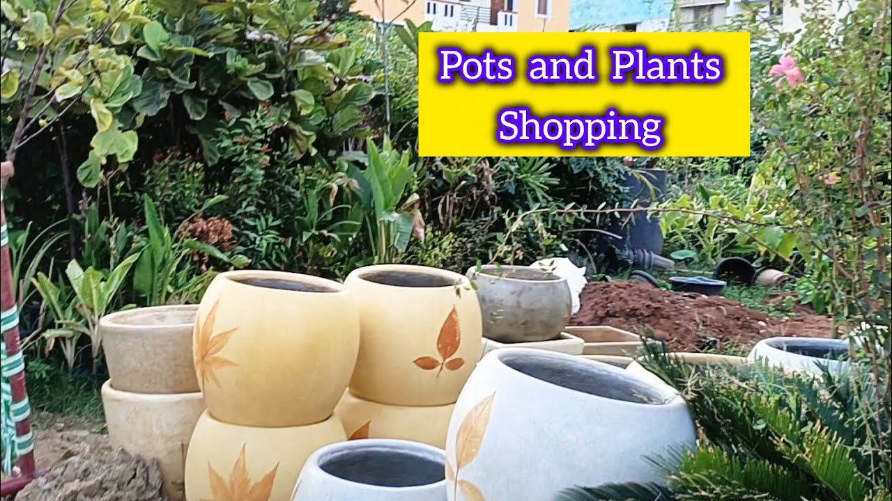 The Pot Shop | Pots and Plants for Garden | Shopping 