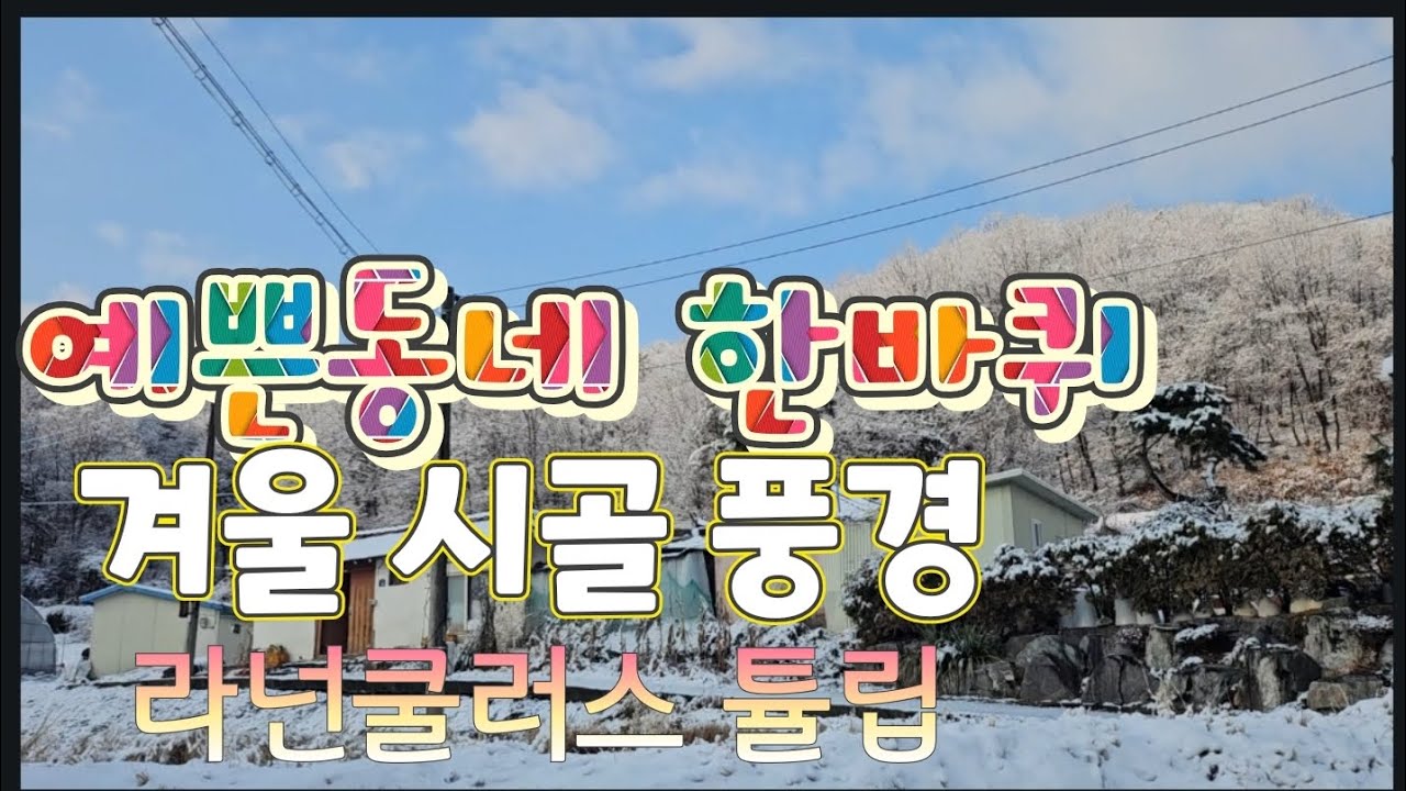 눈쌓인 예쁜 동네한바퀴