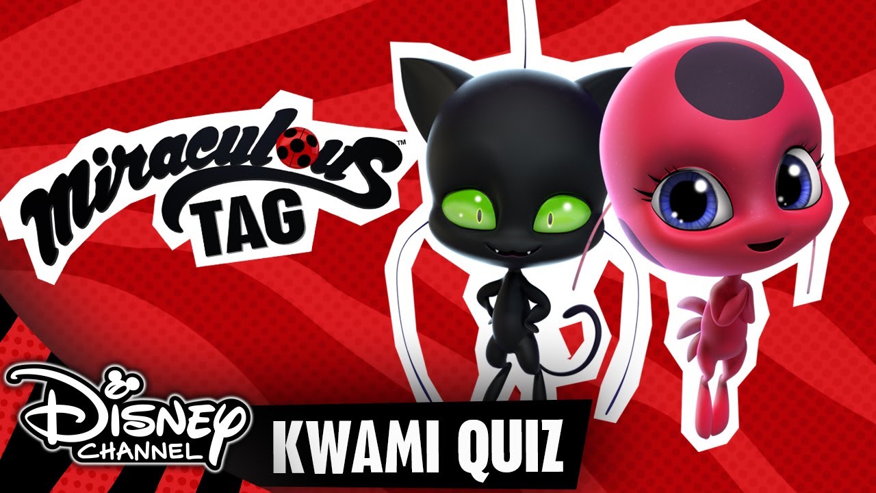 Das Kwami-Quiz! | MIRACULOUS 🐞🐱