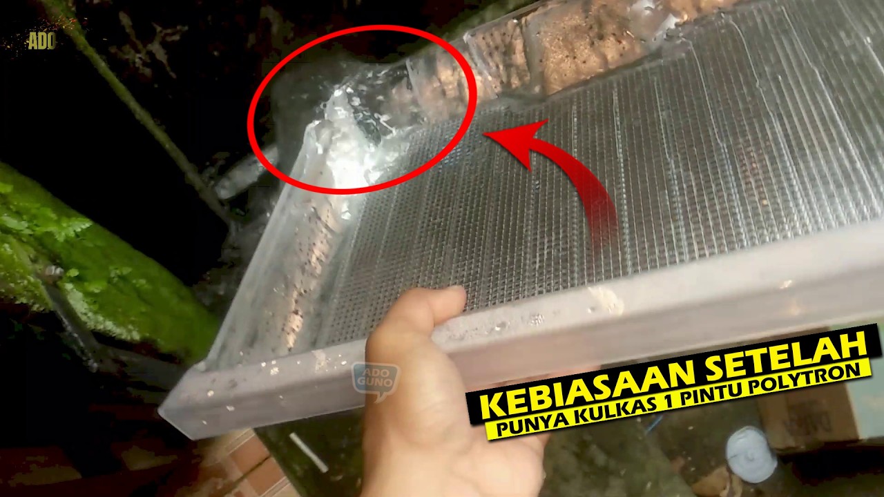 Kebiasaan Sepele yang Bikin Kulkas 1 Pintu Polytron Awet Bertahun Tahun