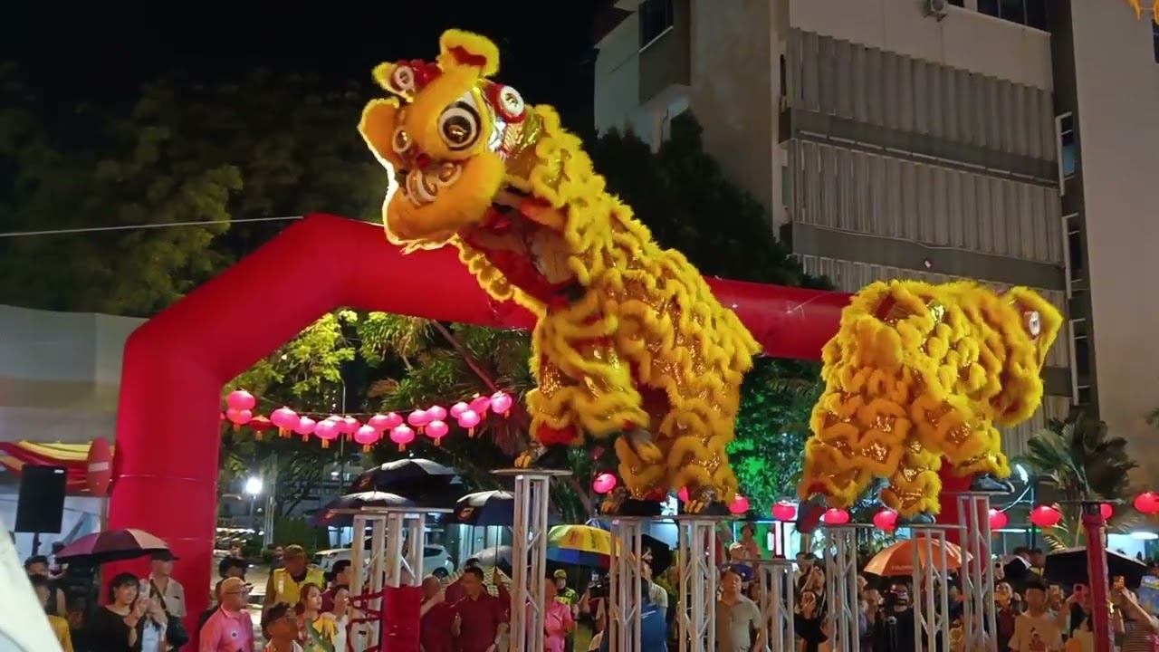 Lion Dance 2026(2)