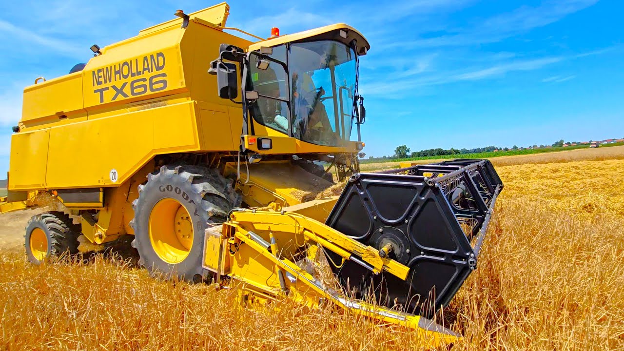 New Holland TX 66 Combine & Favorit 512 C Turbo & Fendt 310 harvest grain in Germany!