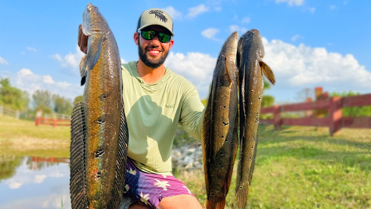 MONSTER SNAKEHEADS - Catch Clean Cook!