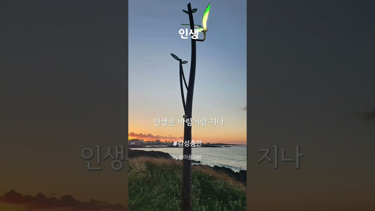 인생#감성충만 #인생노래 #힐링음악 #위로의노래 #새벽감성 #잔잔한노래 #마음위로 #삶의이야기 #힘내자원하시면 #노래 #인생의도전 #음악