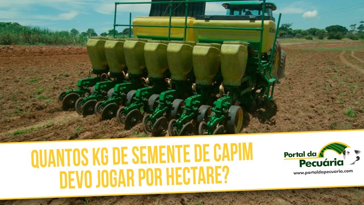 Quantos kg de semente de capim devo jogar por ha?