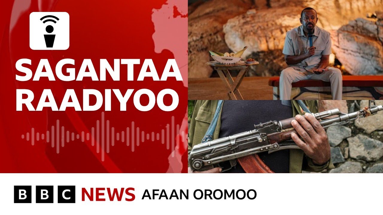 Hidhattoonni  Faannoo Noonnootti namoota  20 ol ajjeesuu | BBC News Afaan Oromoo