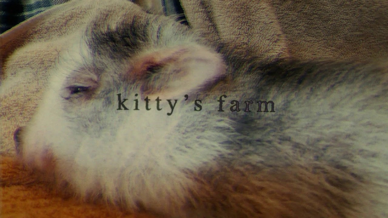 kitty's farm