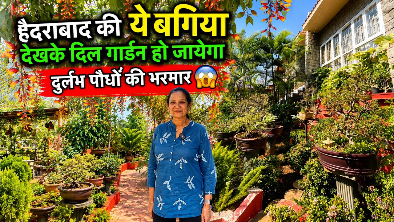 हैदराबाद की ये बगिया देखके दिल गार्डन हो जायेगा दुर्लभ पौधों की भरमार 😱 Hyderabad Garden Tour 🪴