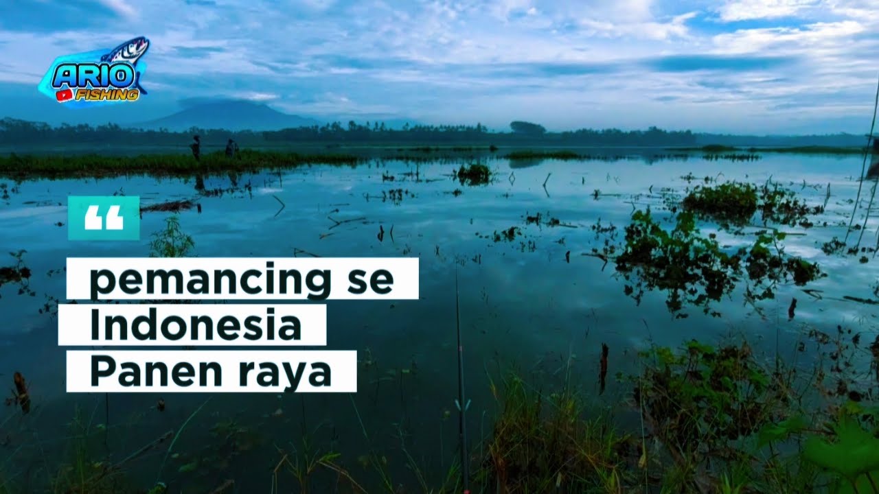 Spot Gacor‼️ Semua pemancing Panen Ikan Nila Di Spot Ini‼️ Waduk Karangkates Malang Jawa Timur