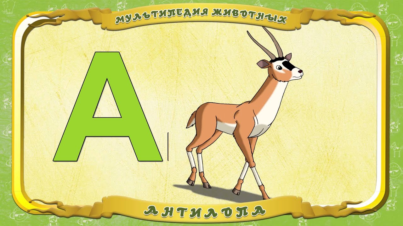 Антилопа