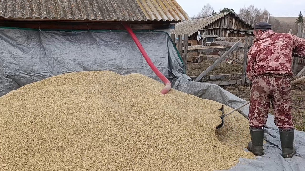 Купили гибкий шнек для зерна/Первая проверка