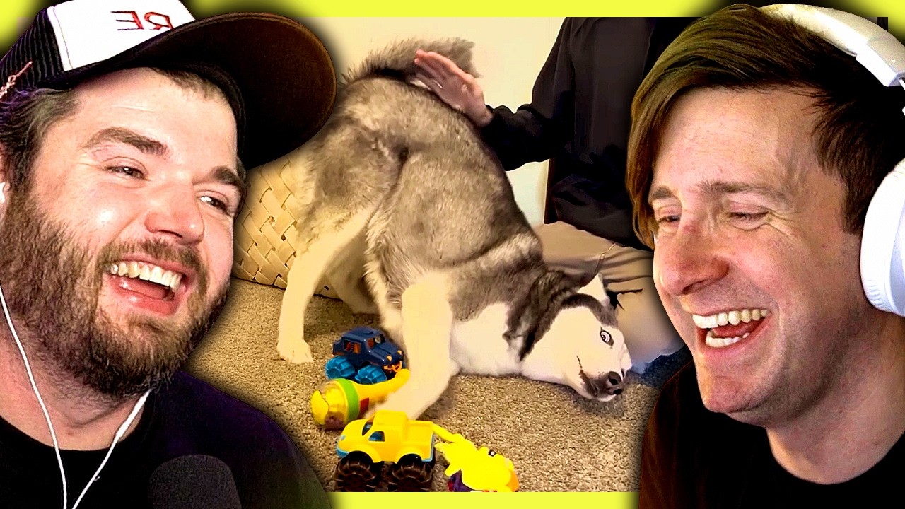 These funny dog videos had us HOWLING!