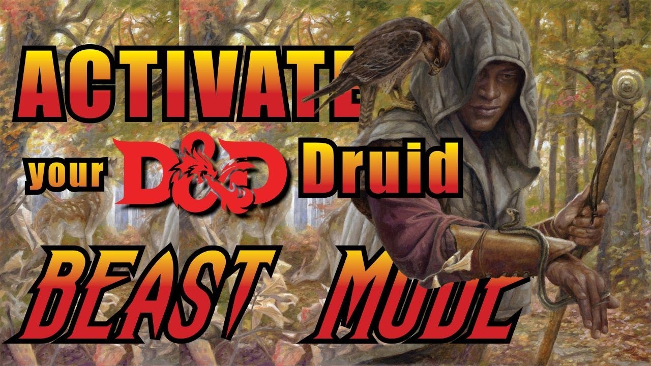 5 Best D&D Feats for a Circle of the Moon Druid