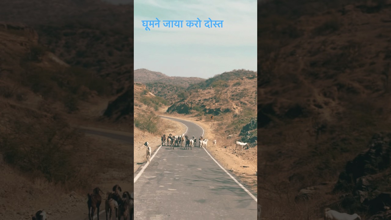 #explorebybike #uttarakhand #uttarakhandheaven #roadtrip #travel