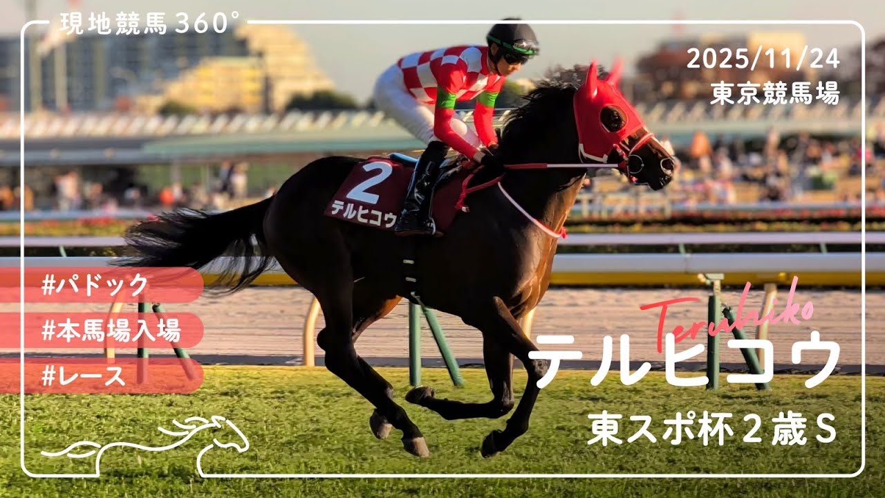 テルヒコウ | 東京スポーツ杯2歳ステークス | パドック/本馬場入場/レース | 2025/11/24 | 東京競馬場