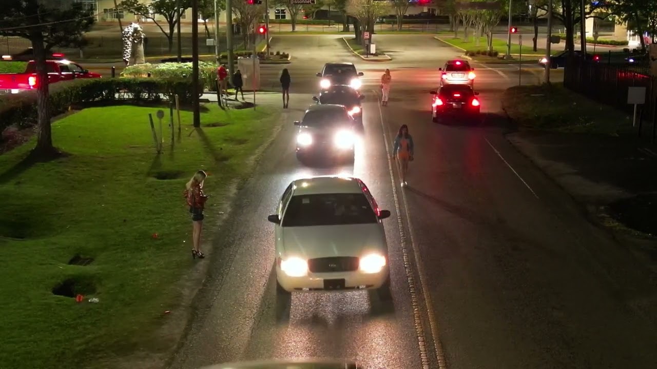 Bissonnet Street Houston Texas  #haul  #houstontx #texas #tryon #news  #city