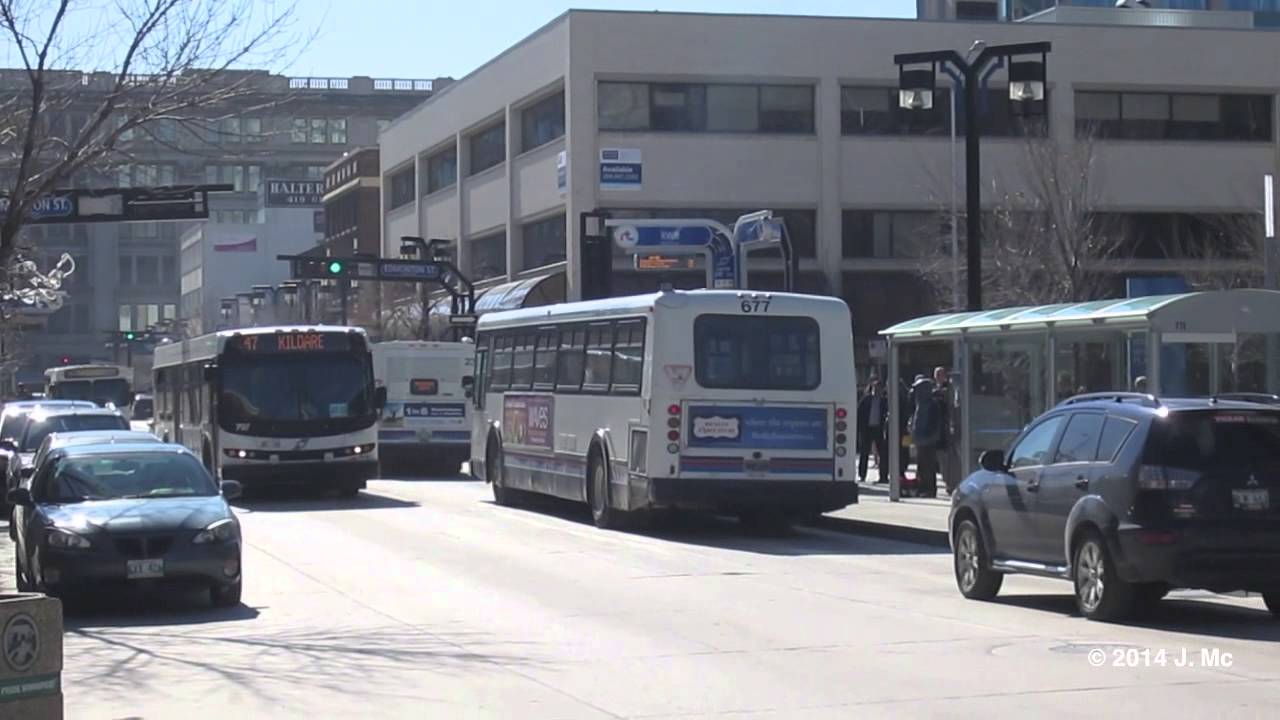 Winnipeg Transit New Flyer Buses