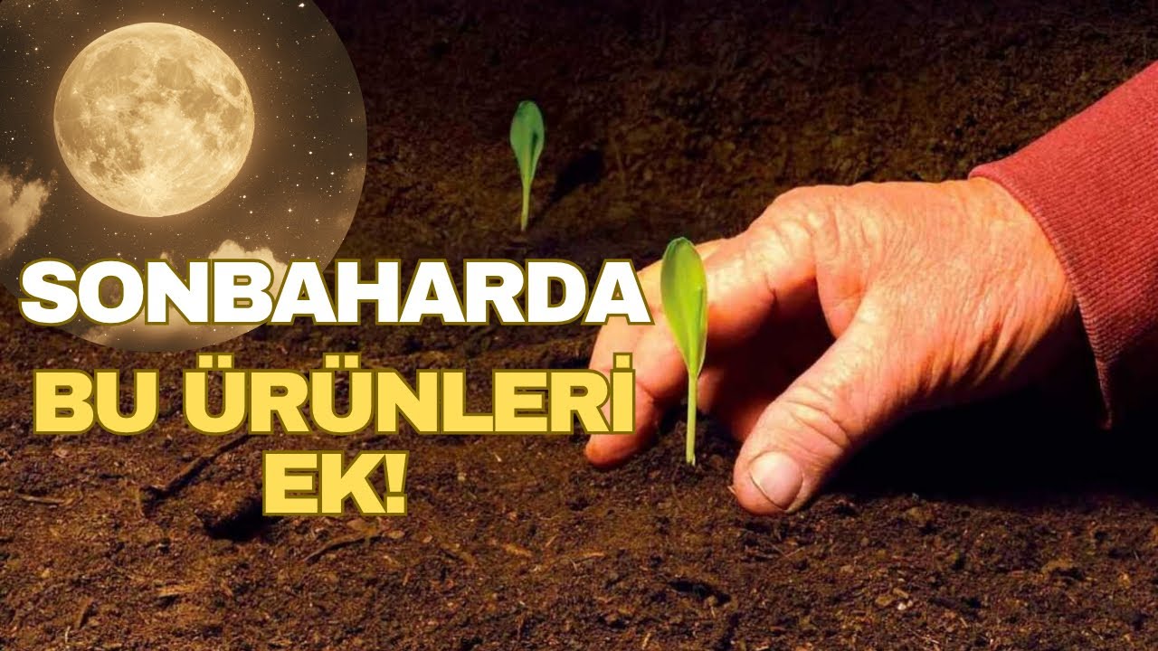 Sebzeni Ay Takvimine Göre Ek, VERİMİNi KATLA!