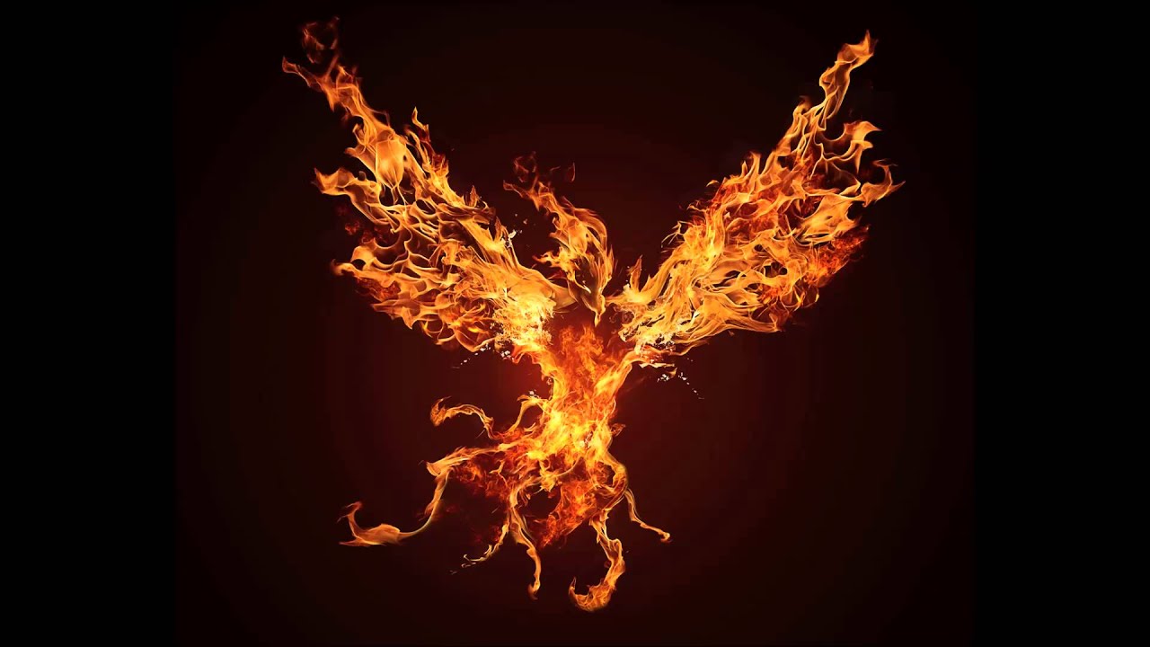 Peter Hendrix - Phoenix
