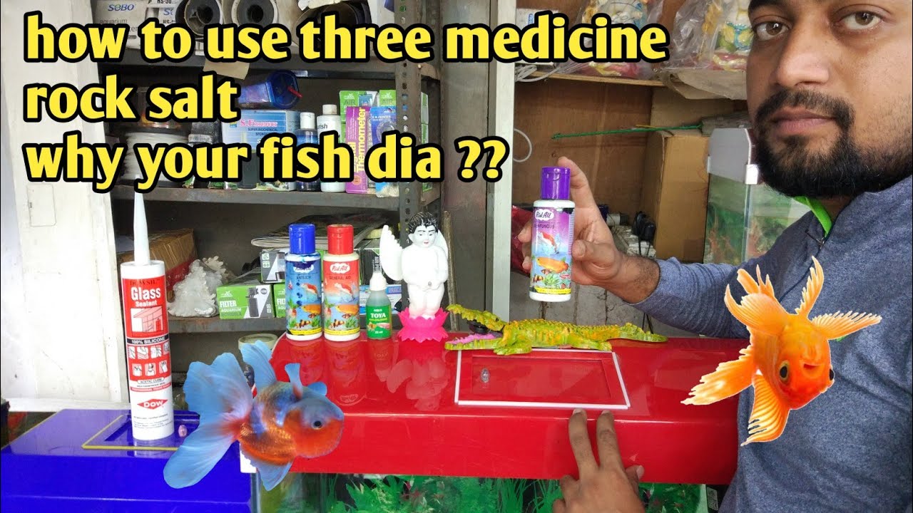 Why fish get I'll and how to cure it