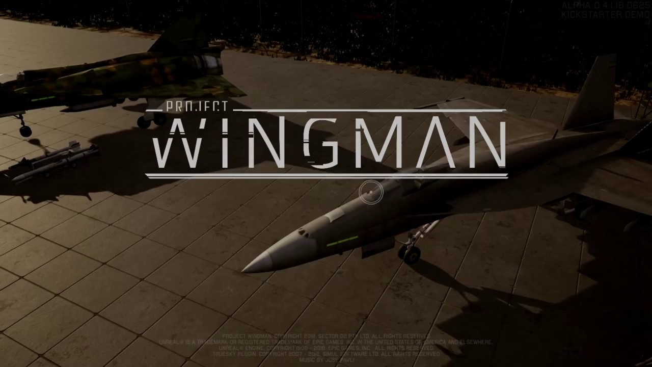 PROJECT WINGMAN DEMO GAMEPLAY || Project Wingman Demo Game