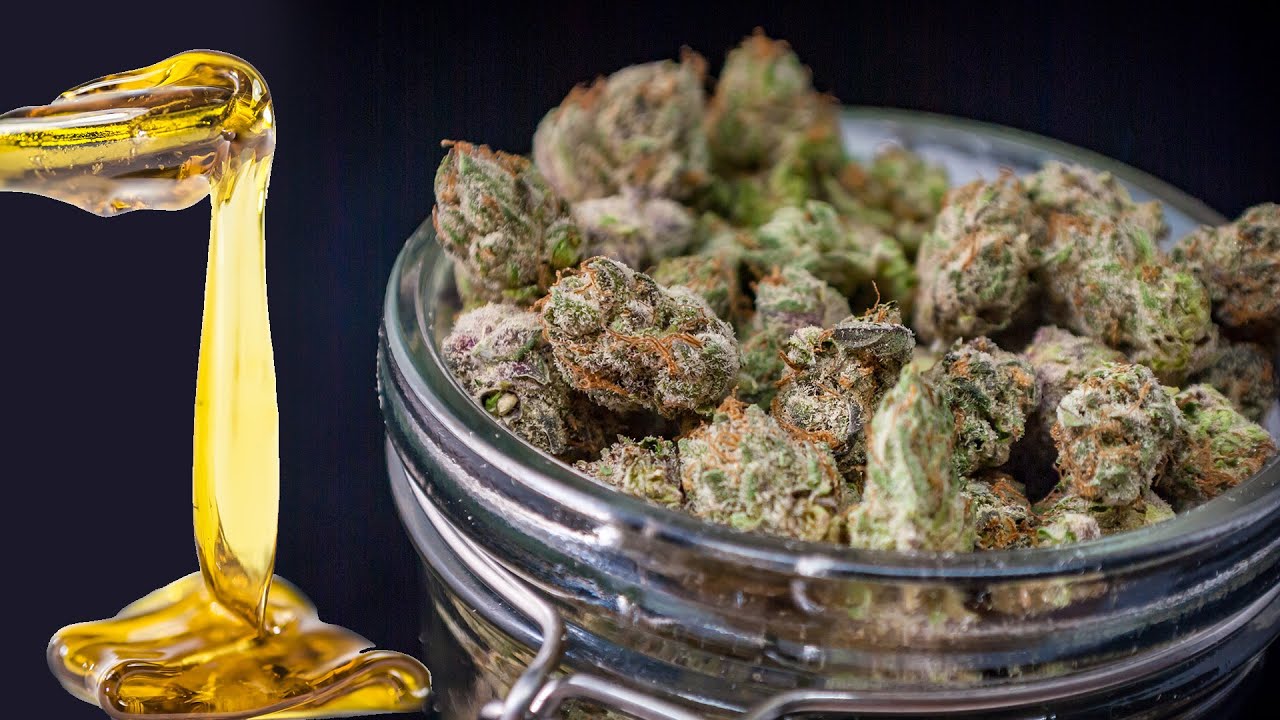 UP CLOSE LOOK AT ROSIN PRESS CANNABIS CONCENTRATE EXTRACTION