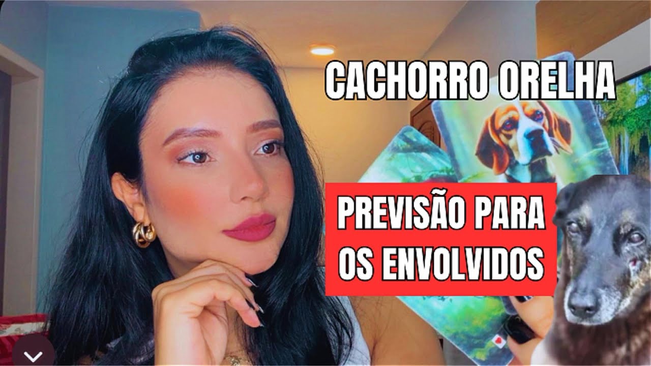 Cachorro Orelha - Previsão espiritual para os envolvidos! 🐶❤️✨
