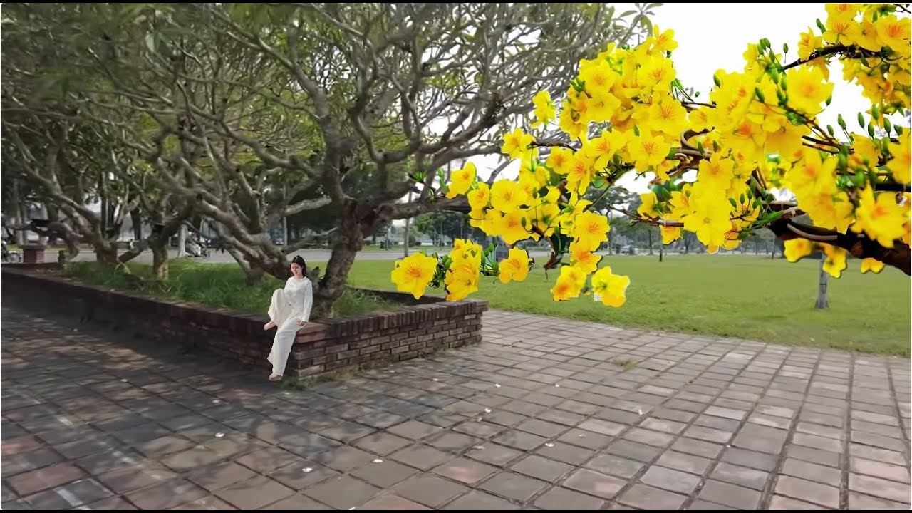 Mai nở vào Xuân