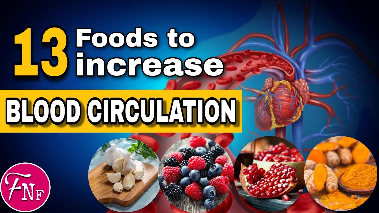 ✅ 13 Best Foods to Increase Blood Flow and Circulation
