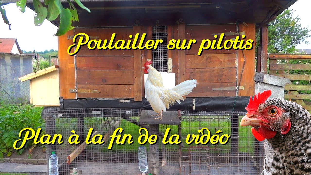 Poulailler sur pilotis fait maison 2. Astuces, idées, plan poulailler