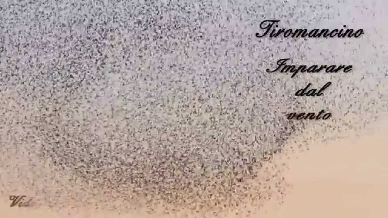 Tiromancino - Imparare dal vento [HD]