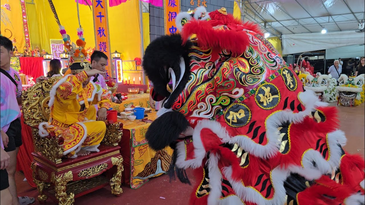 水蓮宮齊天大聖夀誕 祥龍與南獅高樁表演 Shui Lian Gong Temple Celebrations Dragon & Lion On High Poles Performances