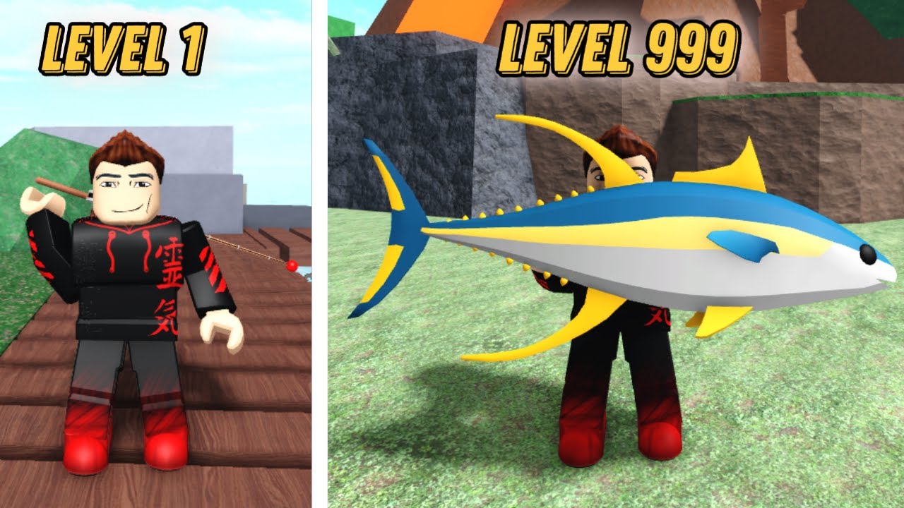 Noob To Pro Go Fishing Roblox