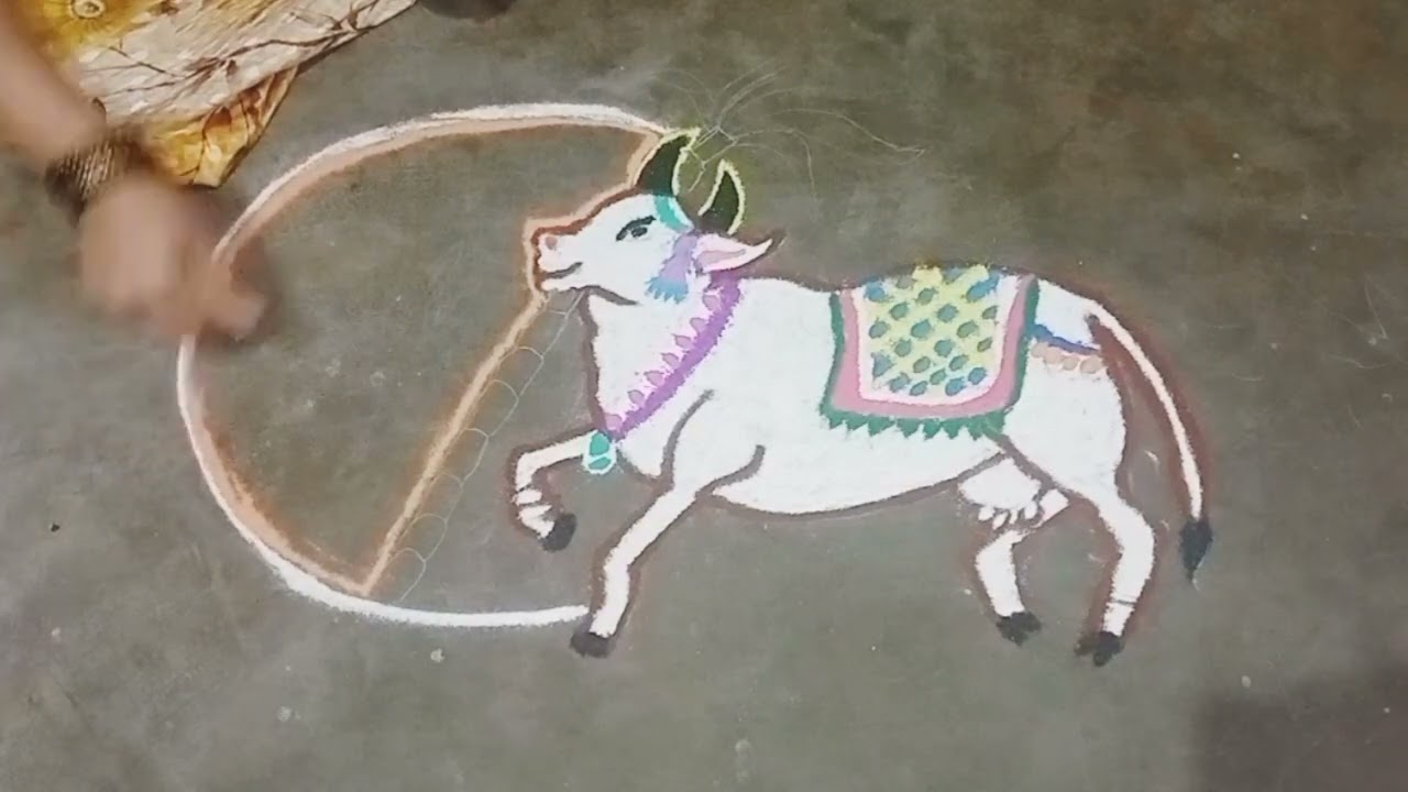 கானும் பொங்கல் ரங்கோலி கலர் கோலம் Bull Pongal Rangoli Color Kolam