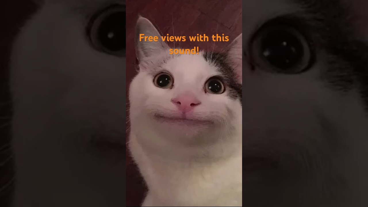 Free Views?